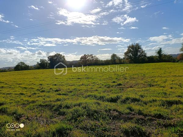 Terrain agricole de 150 960 m²