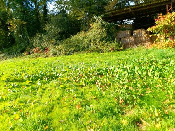 Terrain agricole de 150 960 m²