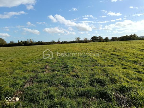 Terrain agricole de 150 960 m²