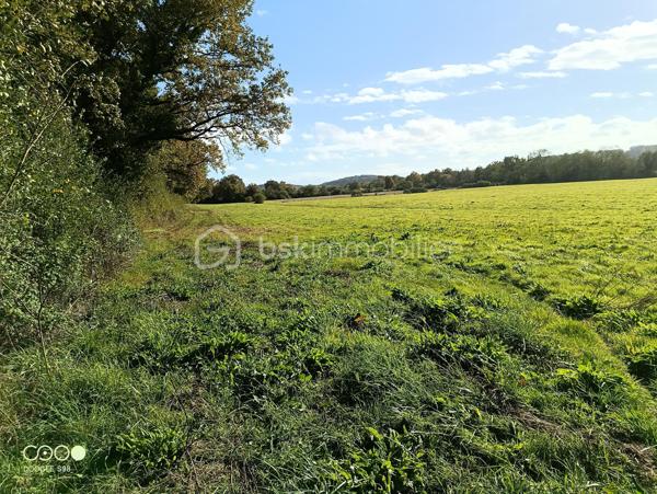 Terrain agricole de 150 960 m²