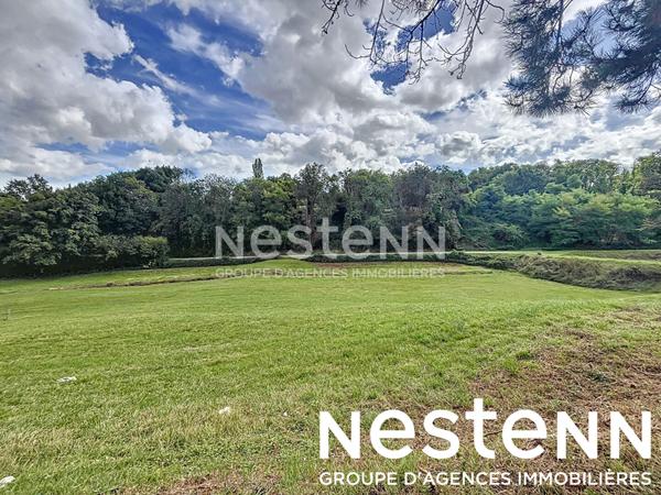 A vendre:  Terrain a batir + Terrain naturel - 71570 SAINT AMOUR BELLEVUE