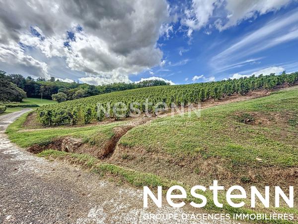 A vendre:  Terrain a batir + Terrain naturel - 71570 SAINT AMOUR BELLEVUE