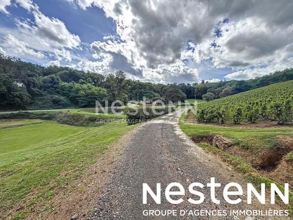 A vendre:  Terrain a batir + Terrain naturel - 71570 SAINT AMOUR BELLEVUE