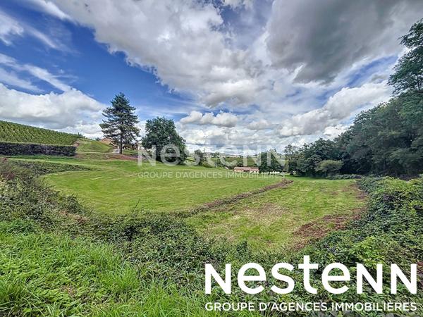 A vendre:  Terrain a batir + Terrain naturel - 71570 SAINT AMOUR BELLEVUE
