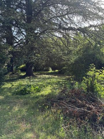 Vente / Terrain constructible à Cognin (73160)