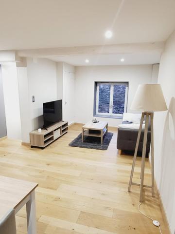 IMMEUBLE AVEC LOCAL  ET APPARTEMENT LOUES EN BAIL PRECAIRE