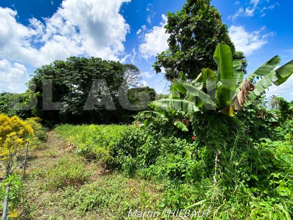 Un cadre ventilé et verdoyant pour votre future construction