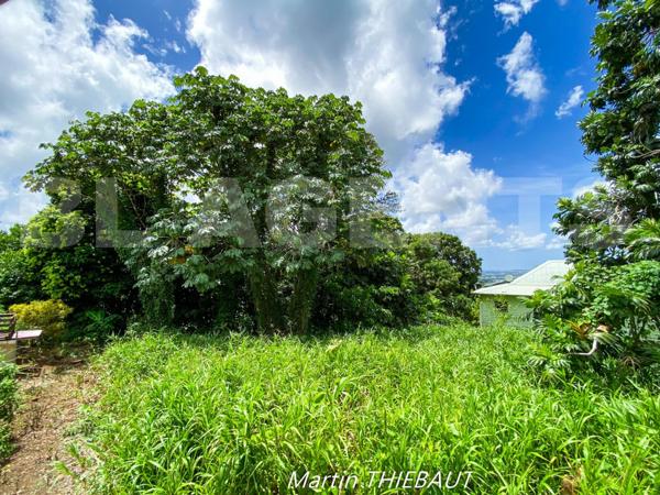 Un cadre ventilé et verdoyant pour votre future construction
