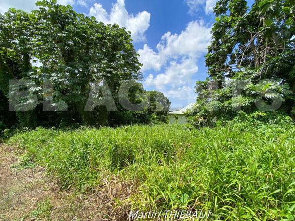 Un cadre ventilé et verdoyant pour votre future construction