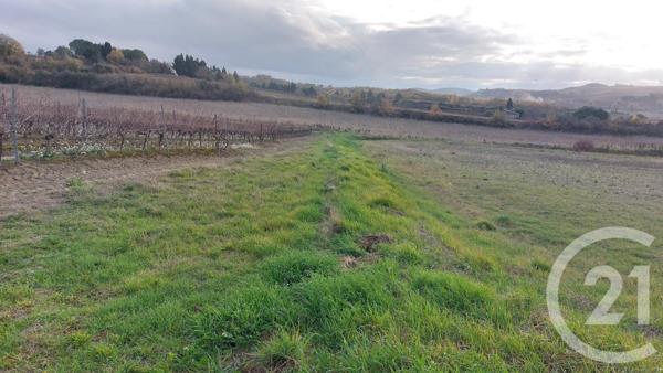 Terrain à vendre  7000 m2 BELVEZE DU RAZES - 11