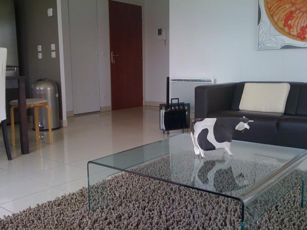 Appartement Saint Genis Pouilly 3 pièces 57.20 m2