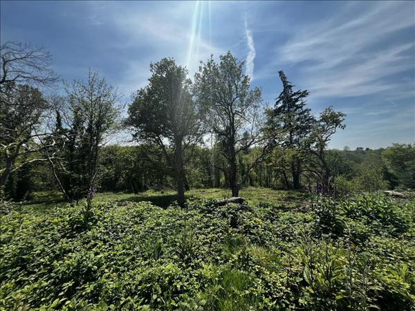 Terrain à vendre |  Ploulec'h |  19292 m²