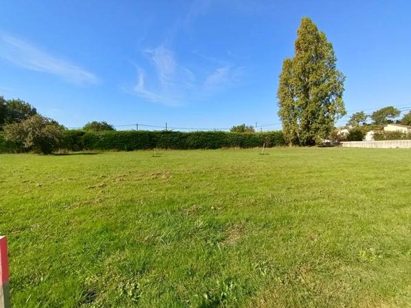 Terrain à vendre |  Le Château-d'Oléron |  546 m²