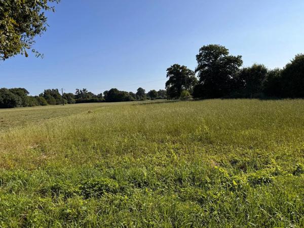 Vente Terrain 2767 m2 à La Guerche-de-Bretagne