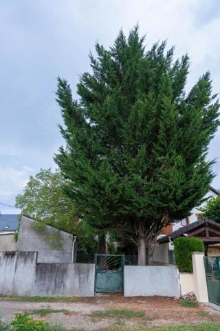 Vente                                                      Maison de ville
                        
                     4 pièces                      69 m2                     à Vierzon