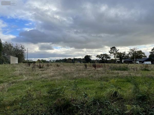 Terrain à Batir à vendre à Allaire dans le Morbihan (56350), ref : 119a