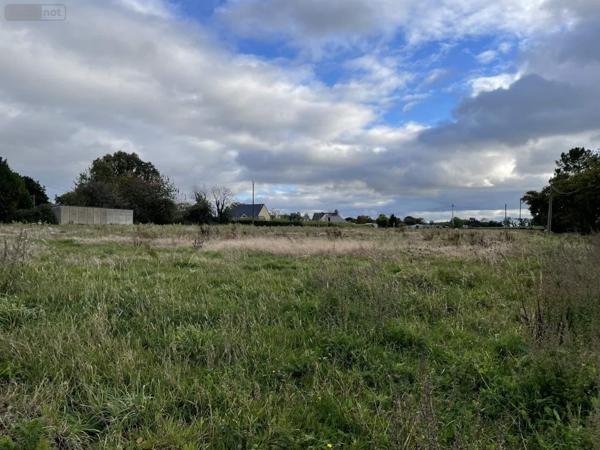 Terrain à Batir à vendre à Allaire dans le Morbihan (56350), ref : 119a