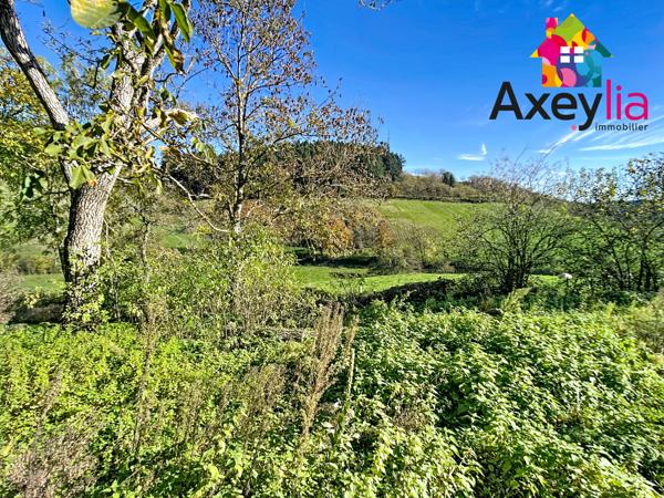 Saint-Bonnet-des-Quarts (42310) A VENDRE - SAINT-BONNET-DES-QUARTS - CORPS DE FERME SUR 2,5 HECTARES DE TERRAIN