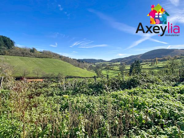 Saint-Bonnet-des-Quarts (42310) A VENDRE - SAINT-BONNET-DES-QUARTS - CORPS DE FERME SUR 2,5 HECTARES DE TERRAIN