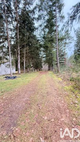 Maison à vendre 4 pièces 90 m² Neuvy-sur-Barangeon