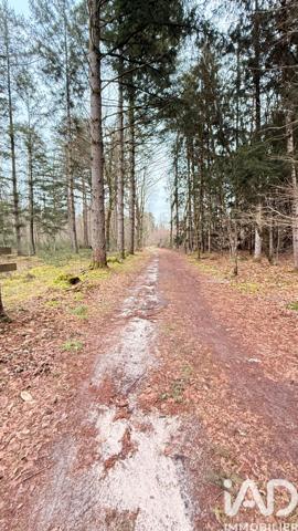 Maison à vendre 4 pièces 90 m² Neuvy-sur-Barangeon