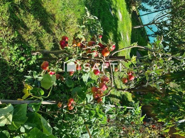 Charmante petite maison avec jardin