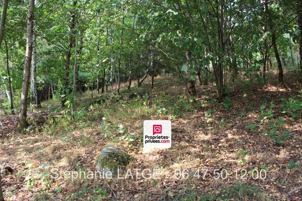 Maison 82.95 m2 4 pièce(s) USSEL (19)