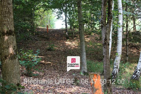 Maison 82.95 m2 4 pièce(s) USSEL (19)