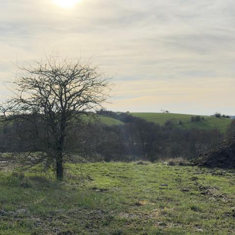 Terrain constructible