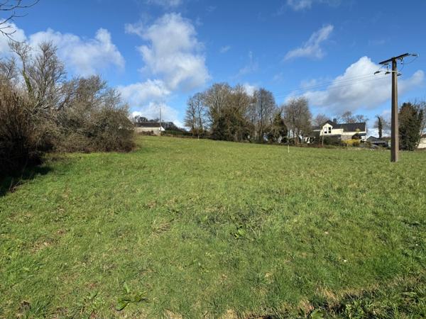 TERRAIN DE 3002 M2 ENTIEREMENT CONSTRUCTIBLE A SAINT THURIAU