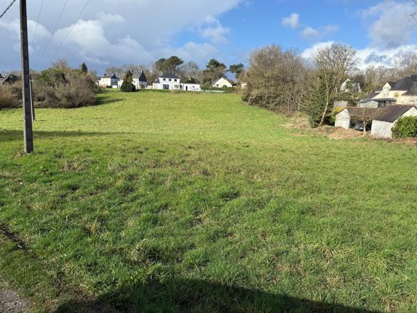TERRAIN DE 3002 M2 ENTIEREMENT CONSTRUCTIBLE A SAINT THURIAU