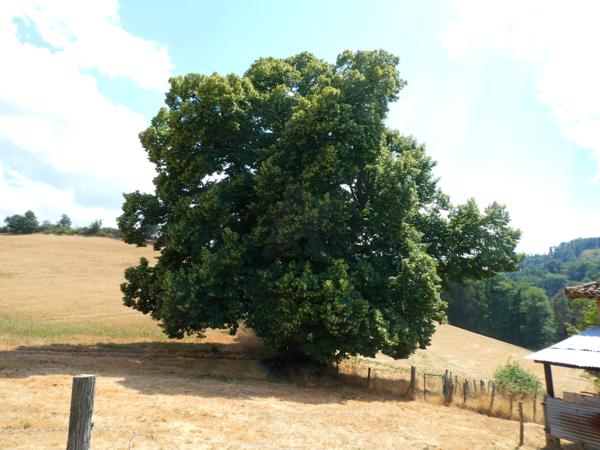 Très belle ferme de caractère indépendante avec grandes dépendances et 5 000 m² de terrain