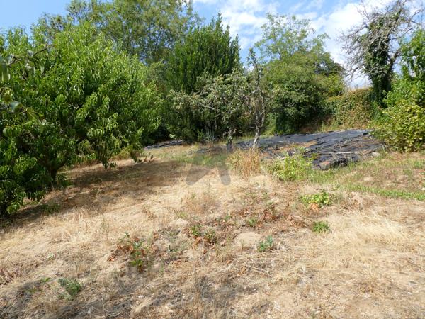 Très belle ferme de caractère indépendante avec grandes dépendances et 5 000 m² de terrain