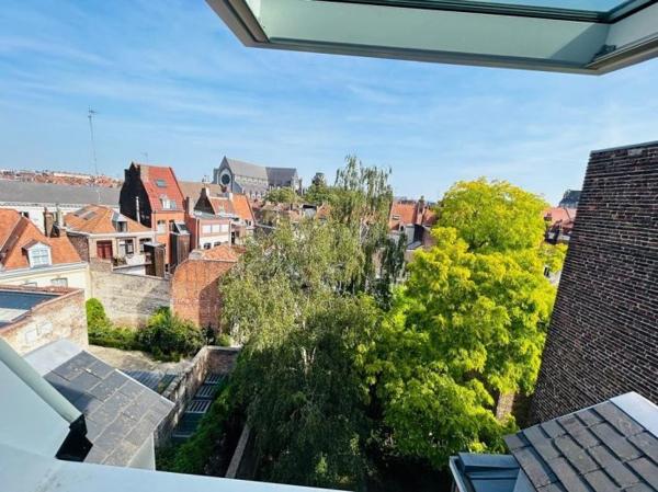 T3 Lille Secteur Lille 55.50 m²