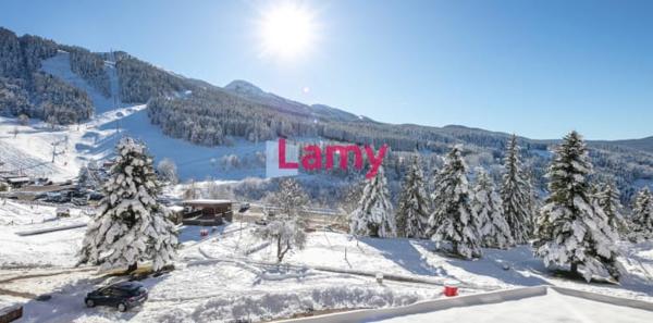 Appartement + cave + casier à skis