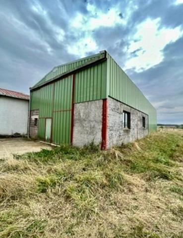 Hangar de 239 m² sur 28 ares à Mangiennes