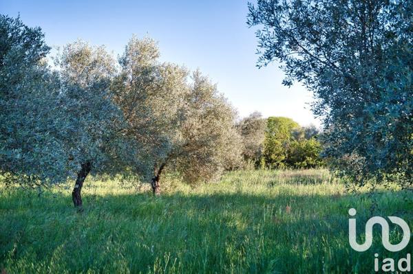 Maison à vendre 10 pièces 323 m² Uzès