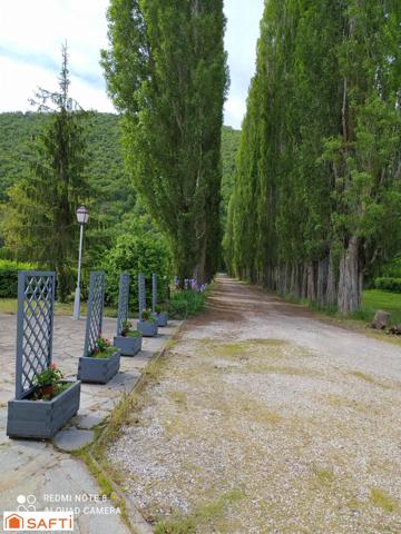 Opportunité rare à Valensole : 4 gîtes prêts à exploiter, charme, calme et rentabilité