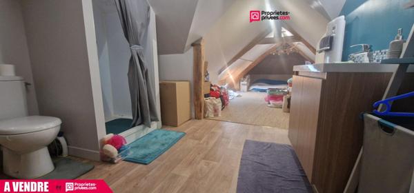 Local commercial et appartement - 110 m² - centre ville de Selles sur Cher