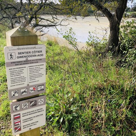 Vente Terrain 481 m2 à Trégunc