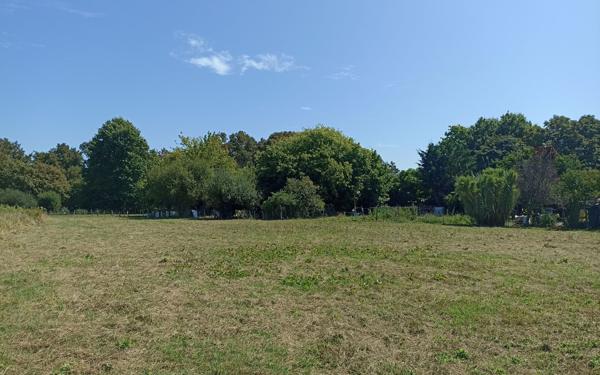 Terrain à vendre    Saint-Sever