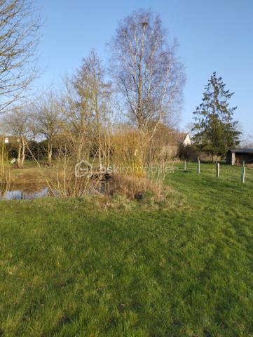 Découvrez cette superbe maison familiale, nichée dans un environnement calme et préservé, idéale pour le repos et la détente. Implantée sur plus d’1,70 hectare de terrain arboré, cette propriété offre un cadre de vie exceptionnel, alliant espace, sérénité et nature.
Au cœur du domaine, une pièce d’eau poissonneuse invite à la contemplation et aux moments de pêche en famille. Les amateurs de grands espaces seront séduits par la vue dégagée sur la nature. 
À l’intérieur, la maison séduit par son grand séjour chaleureux, équipé d’un poêle à bois pour des soirées conviviales. La cuisine aménagée et  fonctionnelle, saura ravir les passionnés de gastronomie. Côté nuit, de nombreuses chambres offrent un espace généreux pour toute la famille ou pour accueillir vos invités.
Pour un confort optimal toute l’année, la maison est équipée d’un chauffage par pompe à chaleur, alliant économie et respect de l’environnement.
La maison offre également une vie en autonomie en rez-de-chaussée avec chambre, WC, et salle d'eau. Une autre salle d'eau et un autre WC sont également à disposition pour les autres chambres à l'étage.
Les nombreuses dépendances, dont une cave et un hangar (avec fosse de mécanique), seront parfaits pour le rangement ou des projets personnels.
Un havre de paix à découvrir sans tarder – contactez-moi pour une visite et laissez-vous charmer par cette propriété d’exception à quatre kilomètres de Sées !