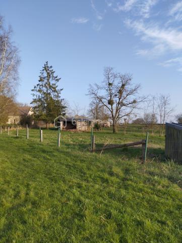 Découvrez cette superbe maison familiale, nichée dans un environnement calme et préservé, idéale pour le repos et la détente. Implantée sur plus d’1,70 hectare de terrain arboré, cette propriété offre un cadre de vie exceptionnel, alliant espace, sérénité et nature.
Au cœur du domaine, une pièce d’eau poissonneuse invite à la contemplation et aux moments de pêche en famille. Les amateurs de grands espaces seront séduits par la vue dégagée sur la nature. 
À l’intérieur, la maison séduit par son grand séjour chaleureux, équipé d’un poêle à bois pour des soirées conviviales. La cuisine aménagée et  fonctionnelle, saura ravir les passionnés de gastronomie. Côté nuit, de nombreuses chambres offrent un espace généreux pour toute la famille ou pour accueillir vos invités.
Pour un confort optimal toute l’année, la maison est équipée d’un chauffage par pompe à chaleur, alliant économie et respect de l’environnement.
La maison offre également une vie en autonomie en rez-de-chaussée avec chambre, WC, et salle d'eau. Une autre salle d'eau et un autre WC sont également à disposition pour les autres chambres à l'étage.
Les nombreuses dépendances, dont une cave et un hangar (avec fosse de mécanique), seront parfaits pour le rangement ou des projets personnels.
Un havre de paix à découvrir sans tarder – contactez-moi pour une visite et laissez-vous charmer par cette propriété d’exception à quatre kilomètres de Sées !