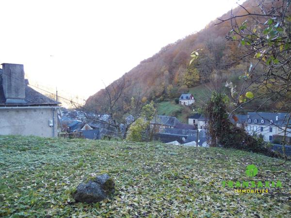 Maison ancienne, avec grand terrain face à la montagne
