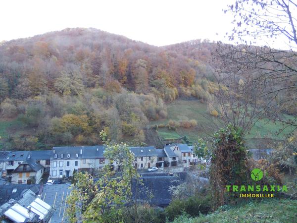 Maison ancienne, avec grand terrain face à la montagne
