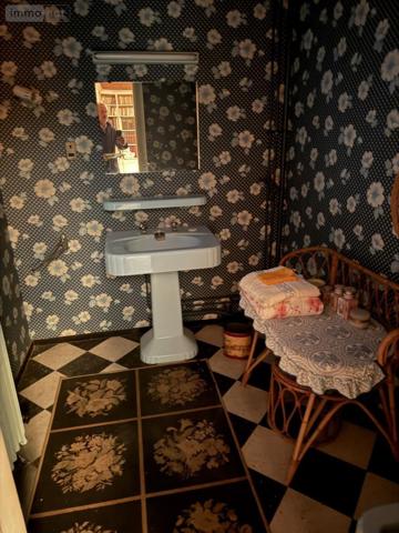 Maison à vendre à Douai dans le Nord (59500), ref : 59191-6129