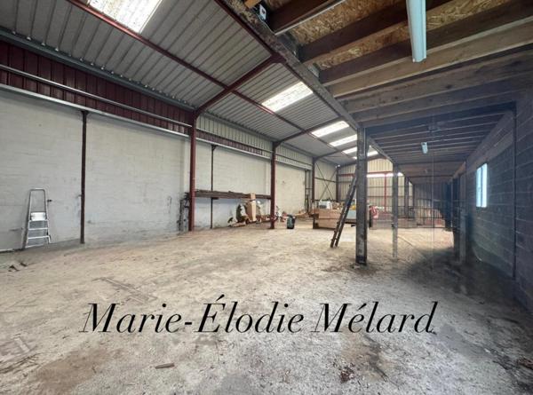 Hangar de 239 m² sur 28 ares à Mangiennes