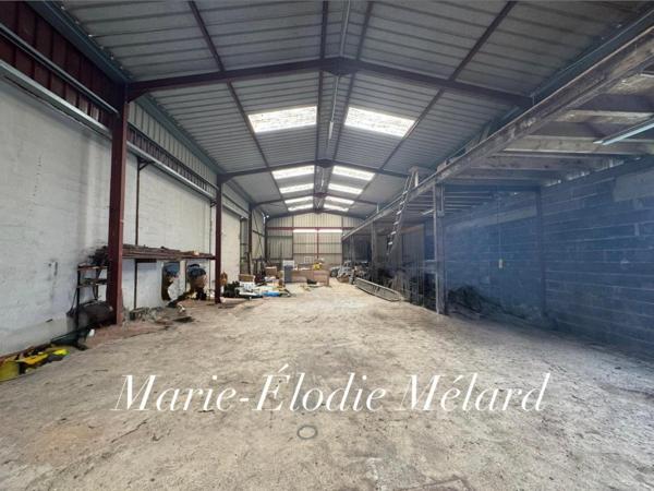 Hangar de 239 m² sur 28 ares à Mangiennes