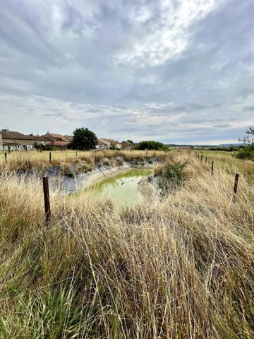 Hangar de 239 m² sur 28 ares à Mangiennes
