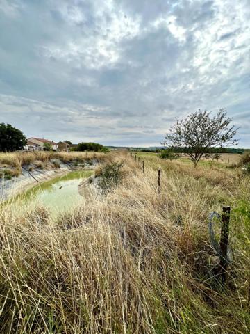 Hangar de 239 m² sur 28 ares à Mangiennes
